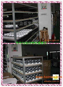 電腦攝像頭的制造與發(fā)展 OEM工廠、價(jià)格及計(jì)算機(jī)軟硬件開(kāi)發(fā)